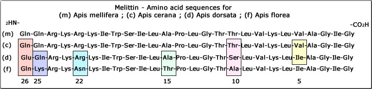 melittin amino acid sequence